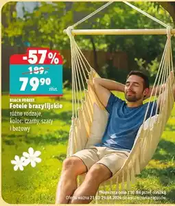 Biedronka Fotele brazylijskie różne rodzaje oferta