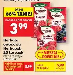 Biedronka Herbata owocowa różne rodzaje oferta