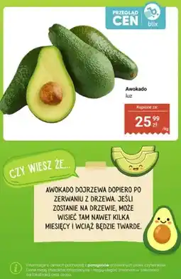 Dino Awokado luz oferta