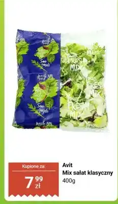 Dino Mix sałat klasyczny oferta