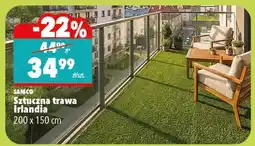 Biedronka Sztuczna trawa Irlandia 200x150 cm oferta