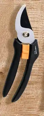 Biedronka Narzędzie ogrodowe - sekator nożycowy oferta