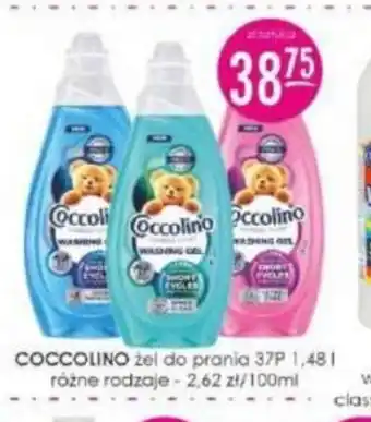Jaśmin Coccolino żel do prania oferta