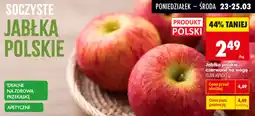 Biedronka Jabłko polskie czerwone oferta