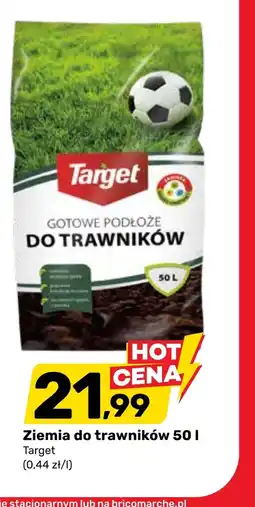 Bricomarche Ziemia do traw Target oferta