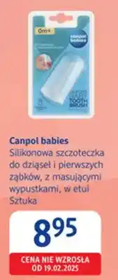 dm drogerie markt Silikonowa szczoteczka do dziąsek i pierwszych ząbków, z masującymi wypustkami, w etui oferta