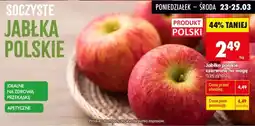 Biedronka Jabłka polskie czerwone na wagę oferta