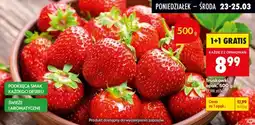 Biedronka Truskawki, 500 g 1+1 GRATIS oferta