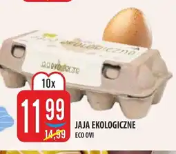 MOKPOL Jaja Ekologiczne Eco Ovi oferta