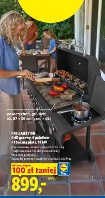 Lidl GRILLMEISTER Grill gazowy oferta