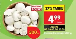 Biedronka Pieczarka opak 500 g oferta