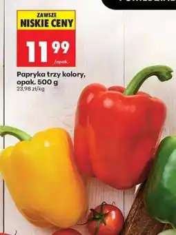 Biedronka Papryka trzy kolory opak . 500 g oferta