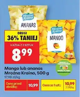 Biedronka Mango lub ananas Mroźna Kraina, 500 g oferta