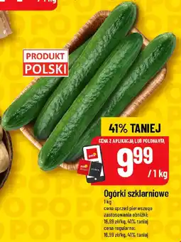 Polomarket Ogórki szklarniowe oferta