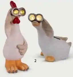 NKD Kura, kaczka solarna oferta