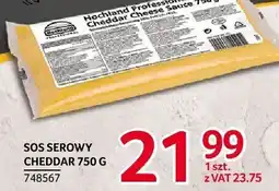 Selgros Sos serowy Cheddar Hochland Professional oferta