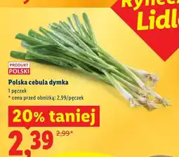 Lidl Cebula dymka polska oferta