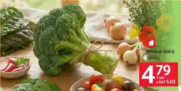 Selgros Brokuł oferta