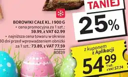 Selgros Borowiki całe kl oferta