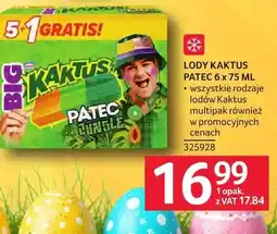 Selgros Lody Kaktus Patec oferta