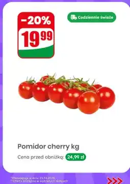 Dino Pomidor cherry oferta