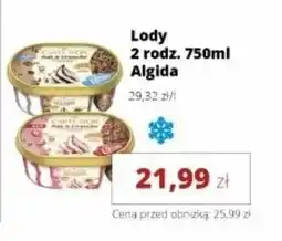 Torimpex Algida Lody oferta