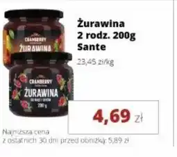Torimpex Zurawina Sante oferta