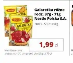 Torimpex Galaretka Winiary oferta