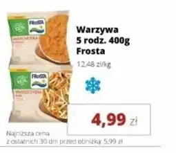 Torimpex Warzywa Frosta oferta