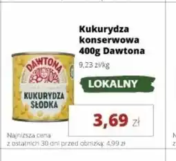 Torimpex Kukurydza konserwowa Dawtona oferta