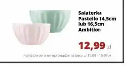 Torimpex Salaterka Pastello Ambition oferta