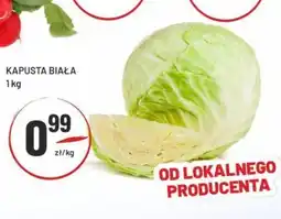 Sedal Kapusta biała oferta