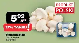 Netto Pieczarka biała oferta