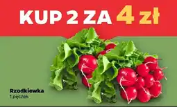Netto Rzodkiewka, 2 pęczki oferta