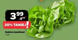Netto Sałata masłowa oferta
