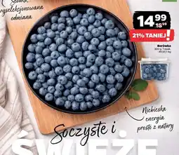Netto Borówka oferta