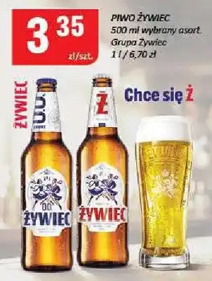 Chorten Piwo Żywiec oferta