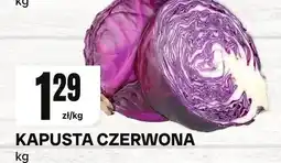 Chorten Kapusta czerwona oferta