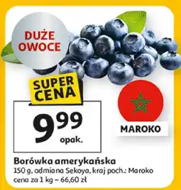 Auchan Borówka amerykańska oferta