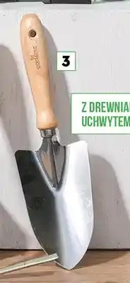 Biedronka Łopatka oferta