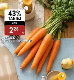 bi1 Marchew oferta