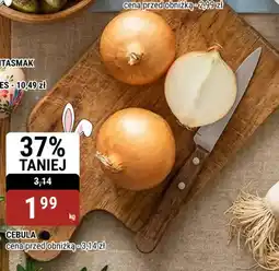 bi1 Cebula oferta