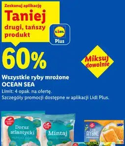 Lidl Ocean Sea, Steki rybne w chrupiącej panierce oferta