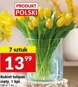 Twój Market Bukiet tulipan cięty oferta