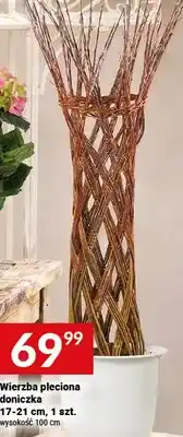 Twój Market Wierzba pleciona doniczka 17-21 cm oferta