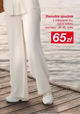 Damskie spodnie z mieszanki Inu