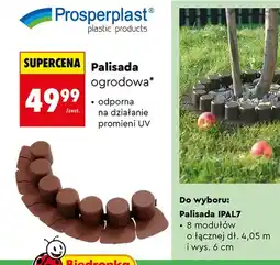 Biedronka Palisada ogrodowa IPAL7 oferta