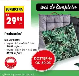 Biedronka Poduszka na krzesło 40x40x6 cm oferta