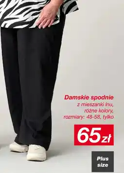 KiK Damskie spodnie z mieszanki Inu oferta