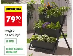 Biedronka Stojak na rośliny 3-poziomowy na skrzynki oferta